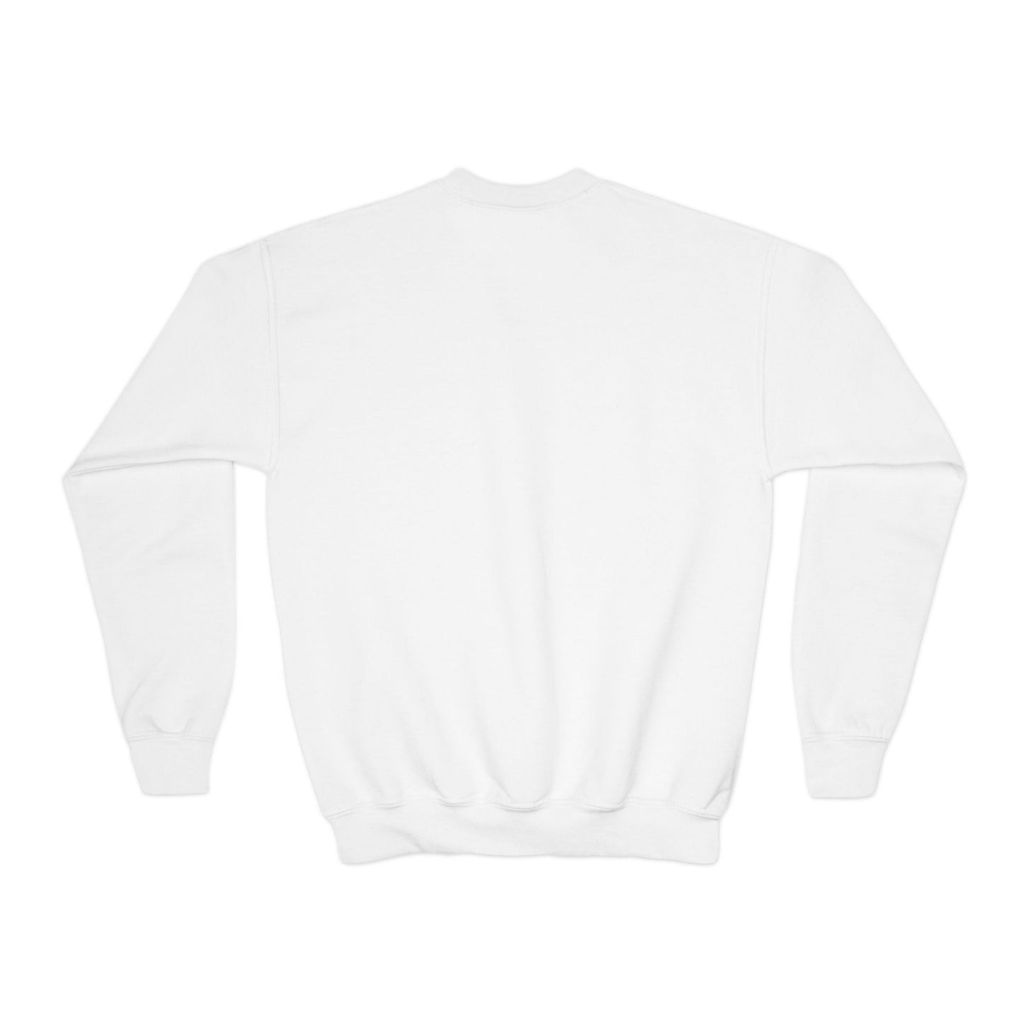 YOUTH Embroidered "The Hill" Crewneck Sweatshirt