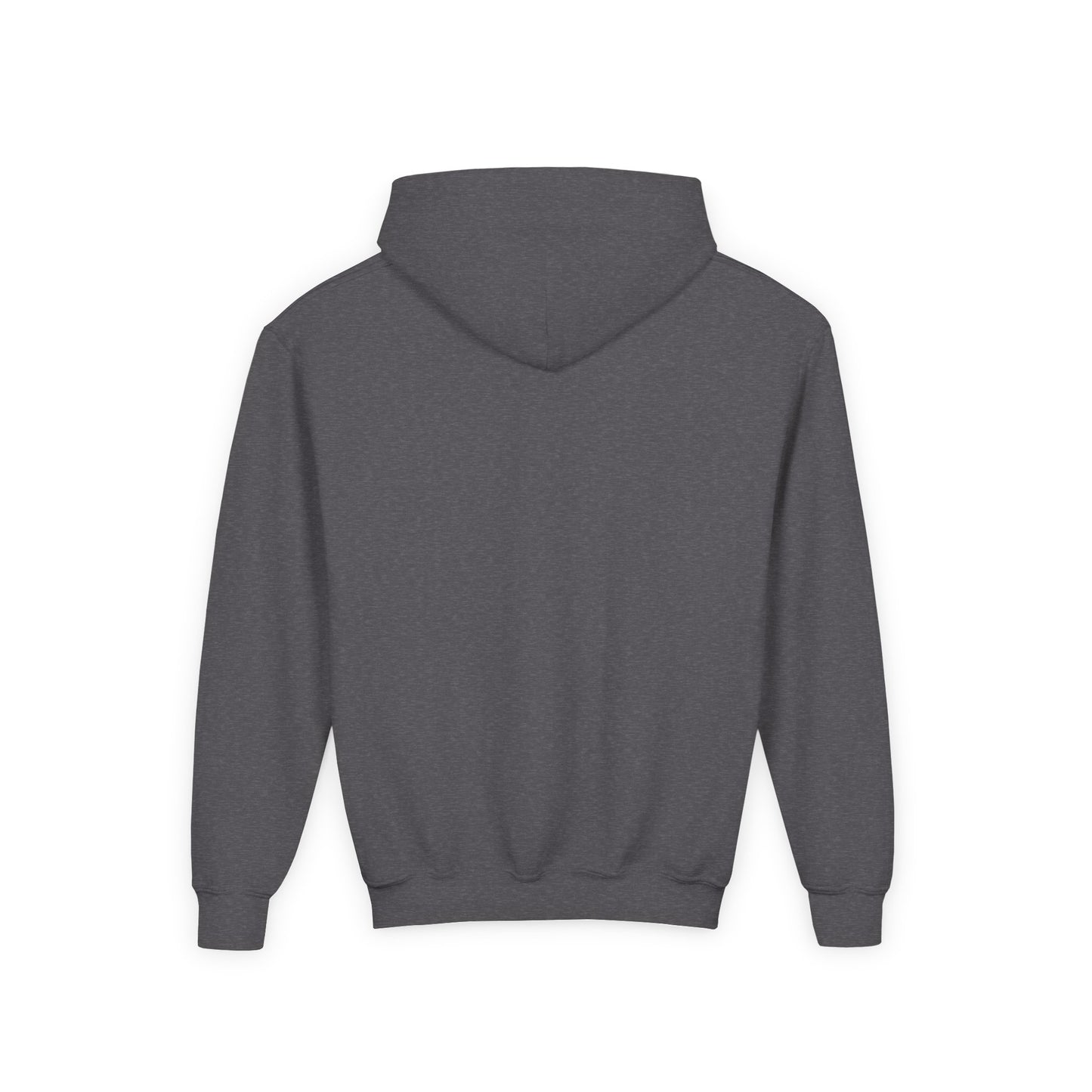 Youth Embroidered "The Hill" Hoodie