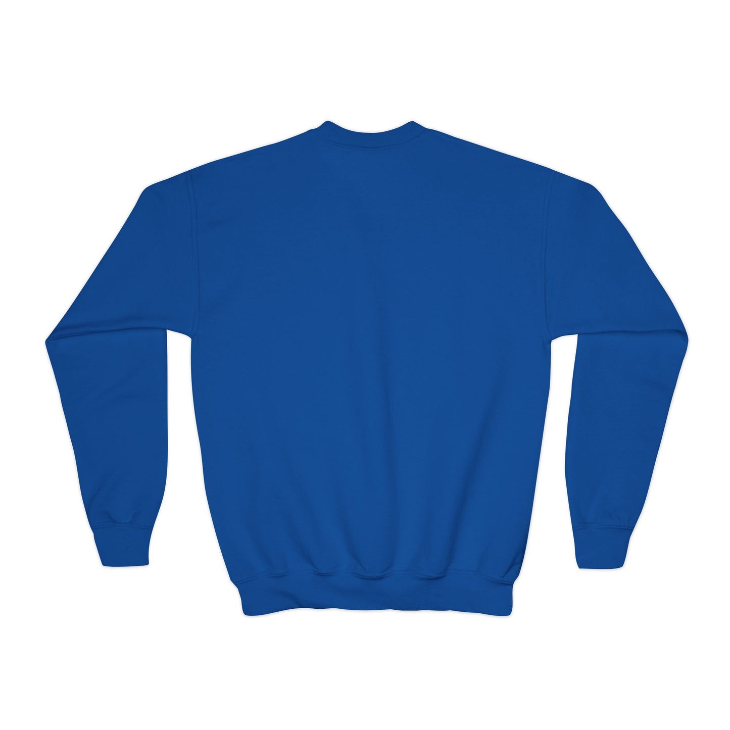 YOUTH Embroidered "The Hill" Crewneck Sweatshirt