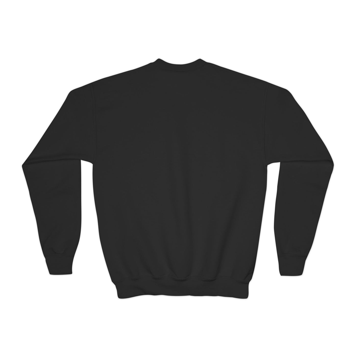YOUTH Embroidered "The Hill" Crewneck Sweatshirt