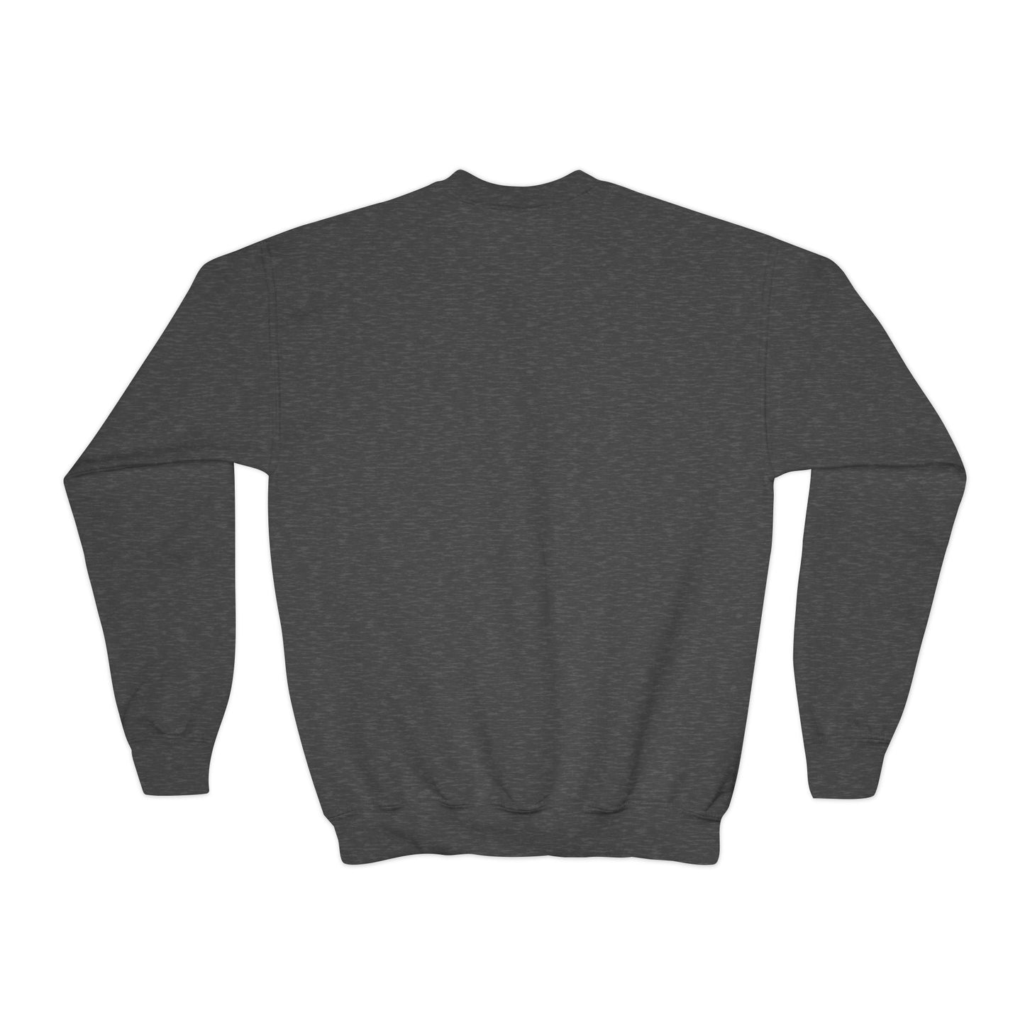 YOUTH Embroidered "The Hill" Crewneck Sweatshirt