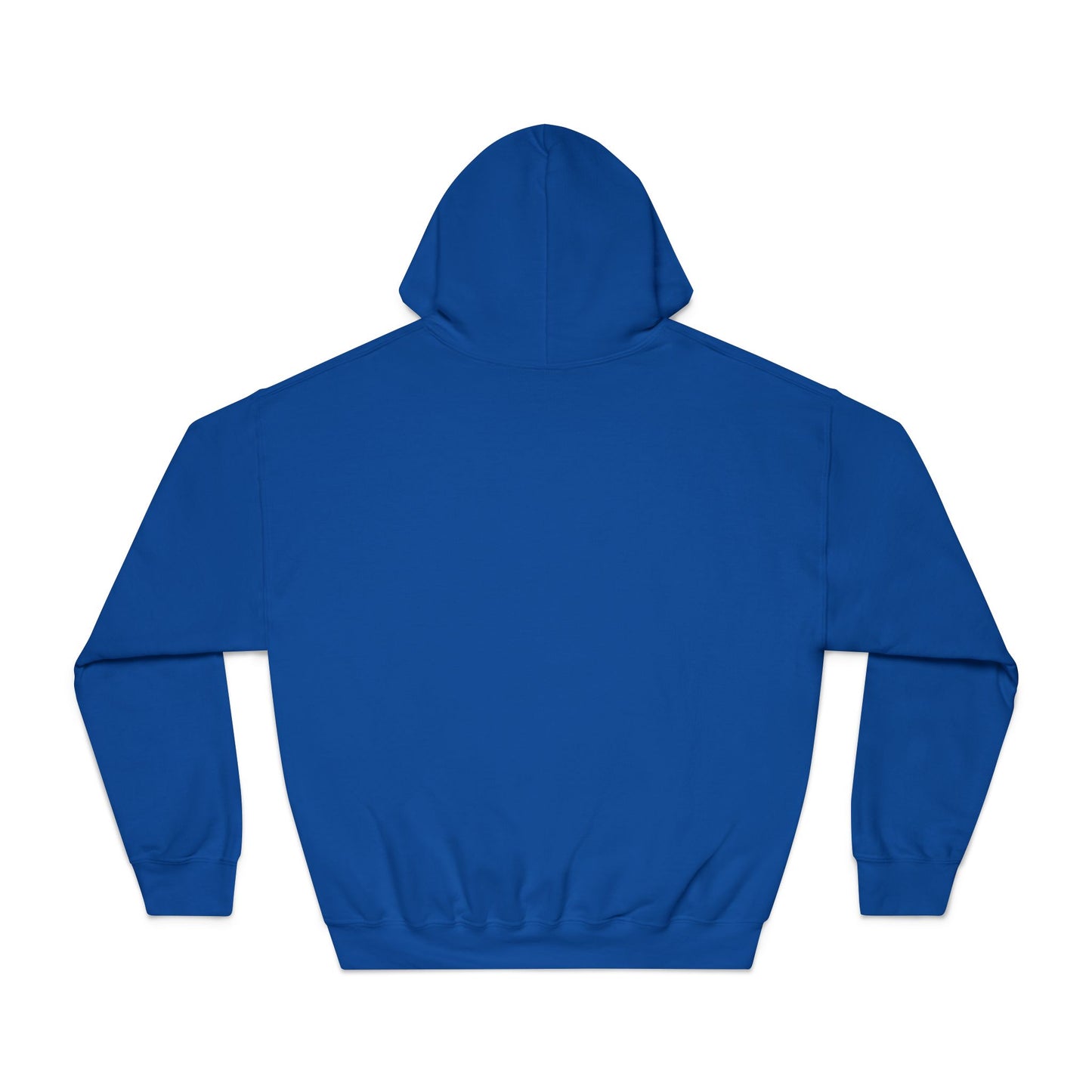 Embroidered "The Hill" Unisex Hoodie