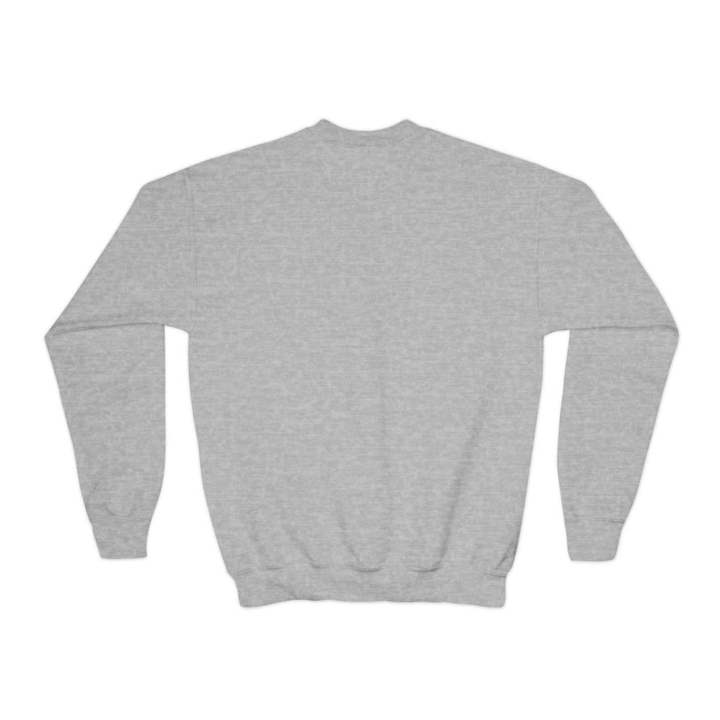 YOUTH Embroidered "The Hill" Crewneck Sweatshirt